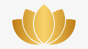 teenadaynightspa.online favicon